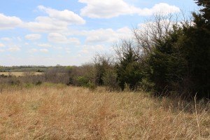 Build Site with Incredible Views and Wildlife photo