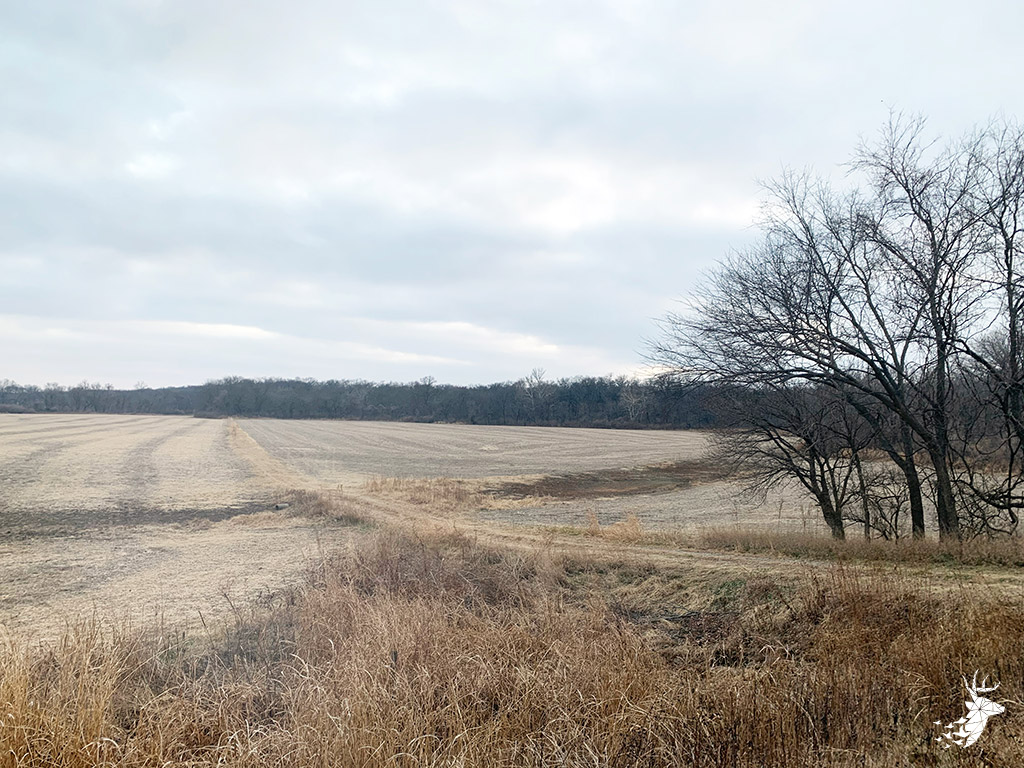 Small Acreage Bottom Ground Farm