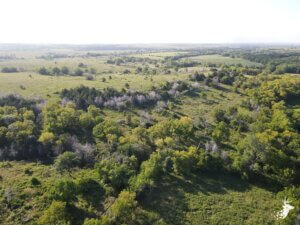 Perfect Blend of Grass and Timber to Graze Cattle and Manage for Deer Hunting photo